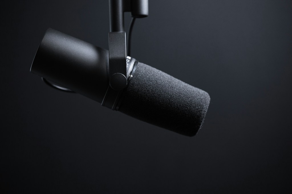 A black and white image of a professional microphone.